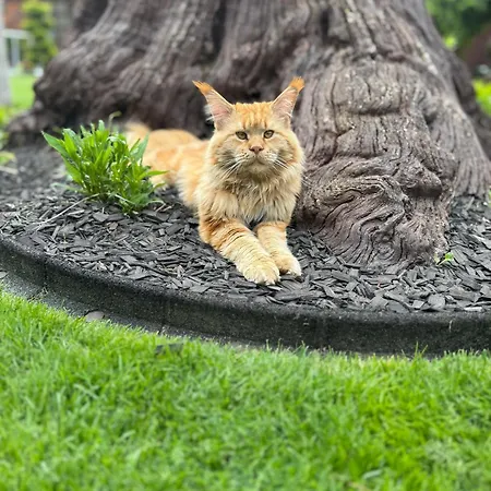 Gaestehaus Am Schlosspark Werben (Brandenburg)