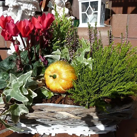 Gaestehaus Am Schlosspark 3*