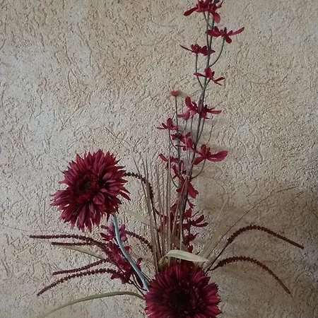 Gaestehaus Am Schlosspark Гостевой дом