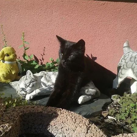 Гостевой дом Gaestehaus Am Schlosspark