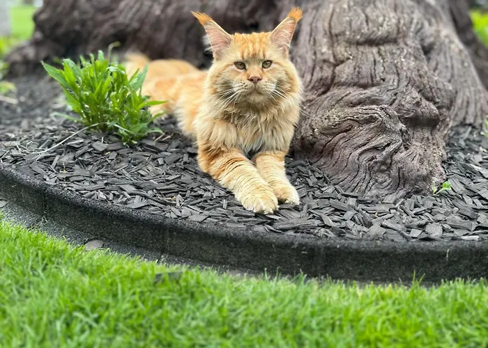 Gaestehaus Am Schlosspark Werben (Brandenburg)