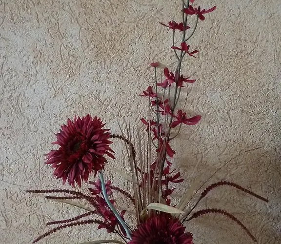 Gaestehaus Am Schlosspark Casa de hóspedes