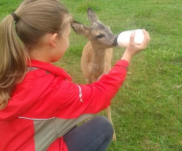 Gaestehaus Am Schlosspark Casa de hóspedes 3*